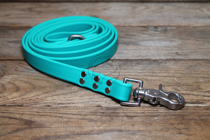 Teal Biothane Large Dog Leash