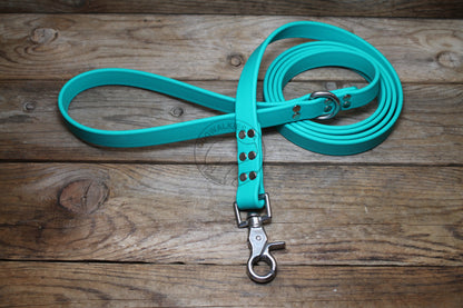 Teal Biothane Large Dog Leash