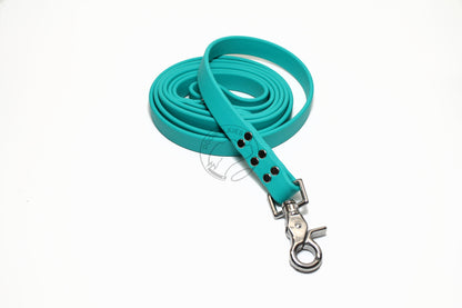 Teal Biothane Large Dog Leash