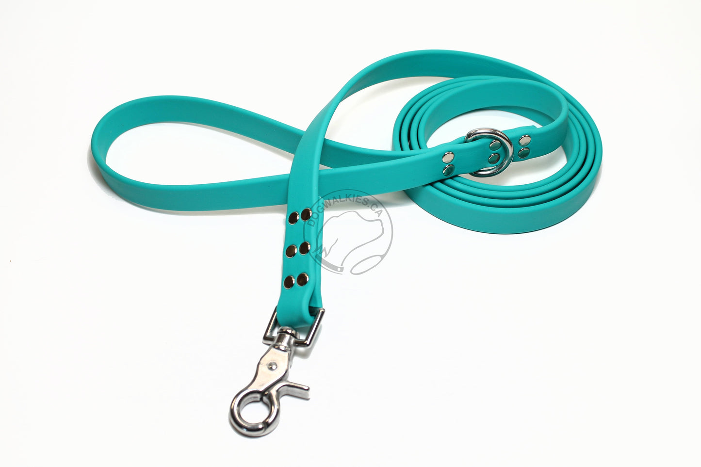 Teal Biothane Large Dog Leash