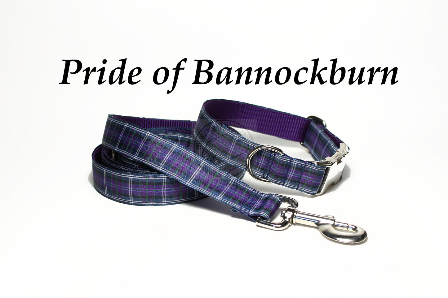 Pride of Bannockburn tartan - dog collar