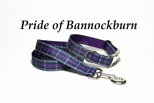 Pride of Bannockburn tartan - dog collar
