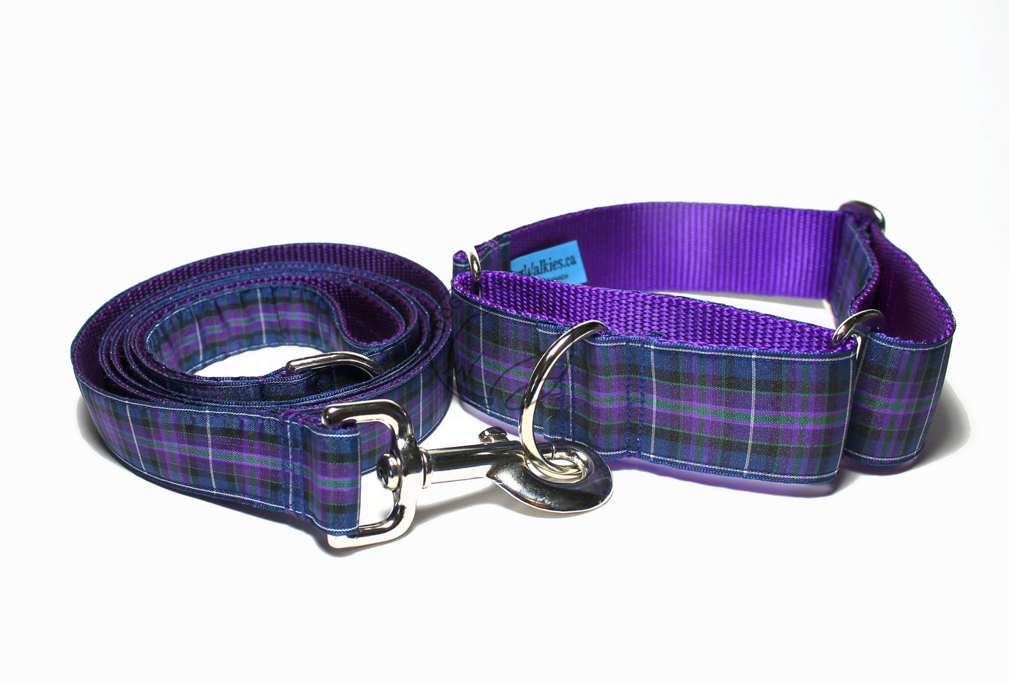 Pride of Scotland Modern tartan - dog collar