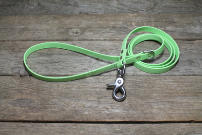 Discontinued- Limited Pastel Mint Green Small Dog Leash