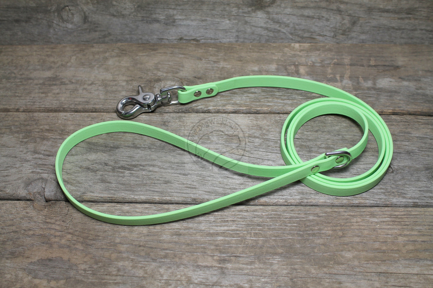 Discontinued- Limited Pastel Mint Green Small Dog Leash