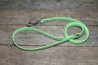 Discontinued- Limited Pastel Mint Green Small Dog Leash