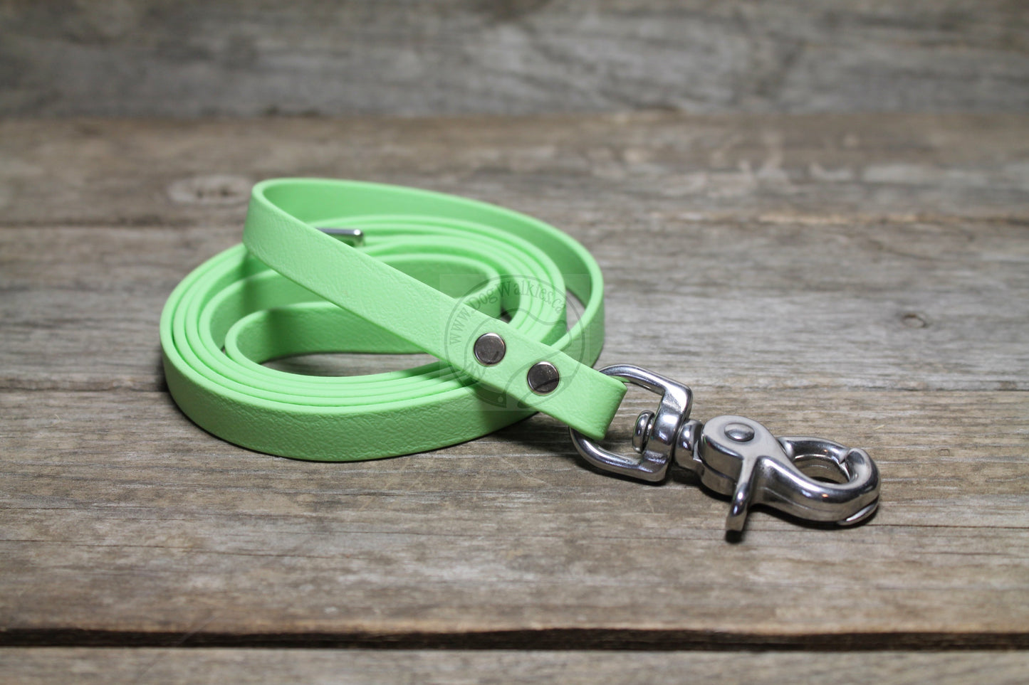 Discontinued- Limited Pastel Mint Green Small Dog Leash