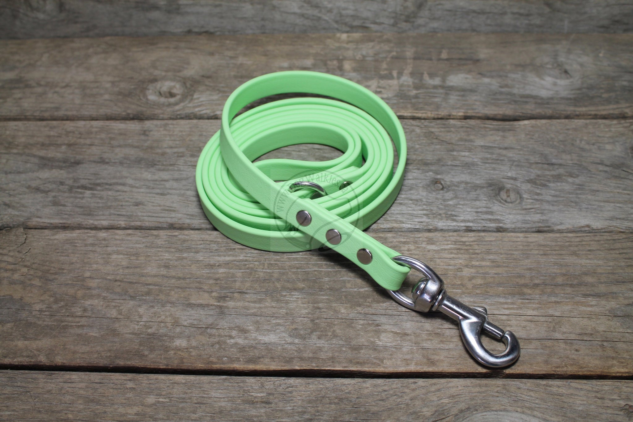 Discontinued- Limited Pastel Mint Green Biothane Dog Leash