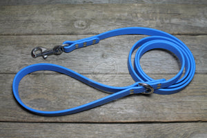 Caribbean Blue Biothane Large Dog Leash