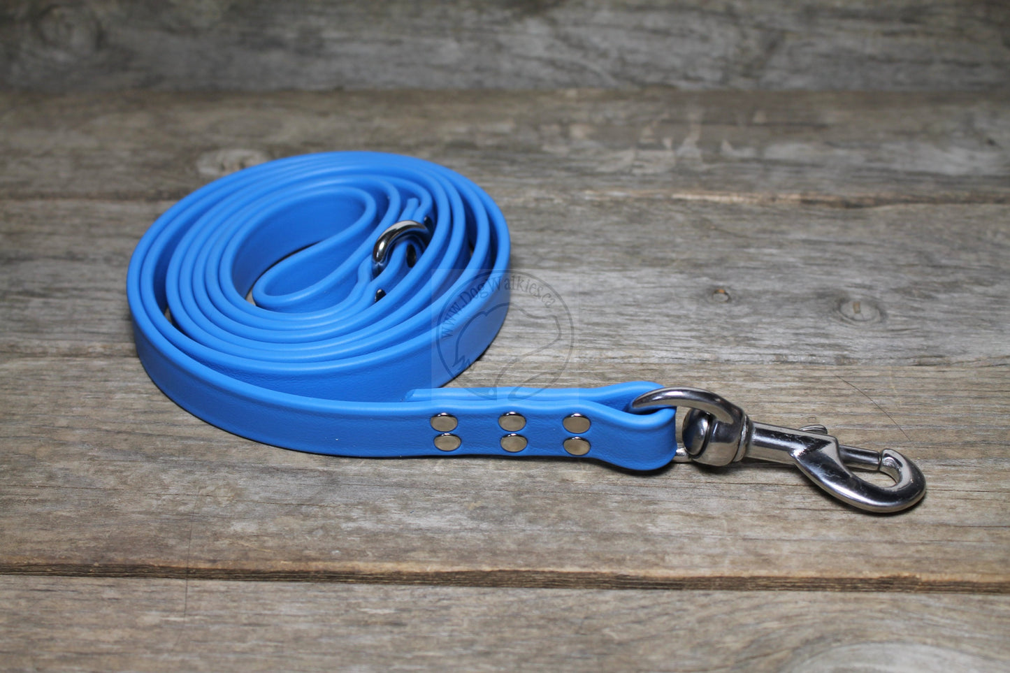 Caribbean Blue Biothane Large Dog Leash