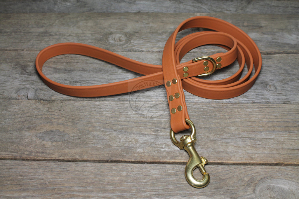 Caramel Brown Biothane Large Dog Leash