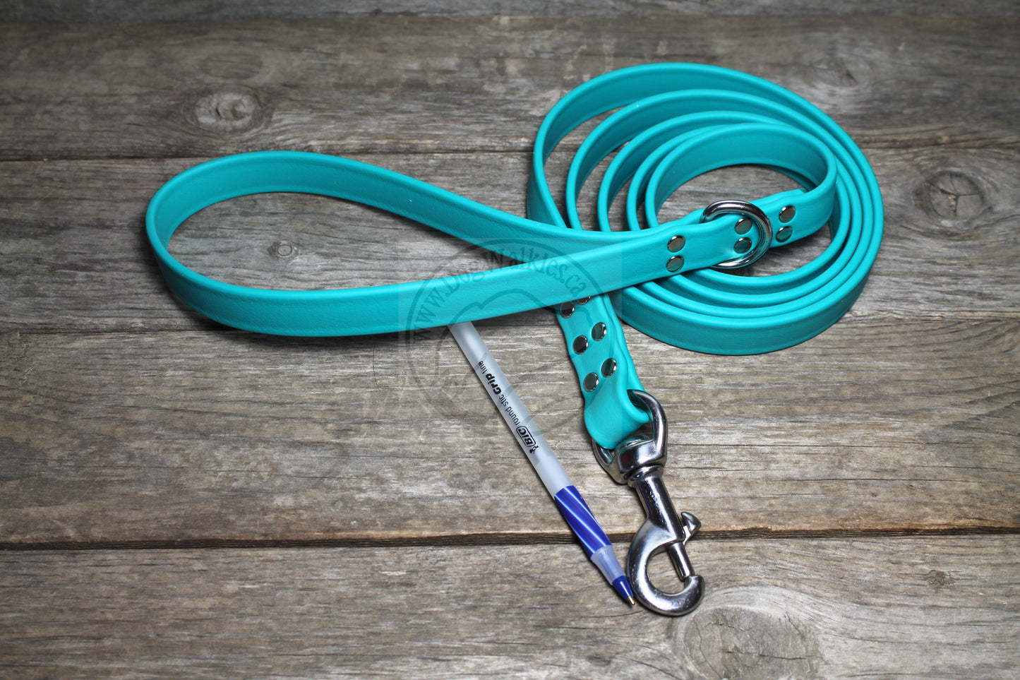Teal Biothane Large Dog Leash