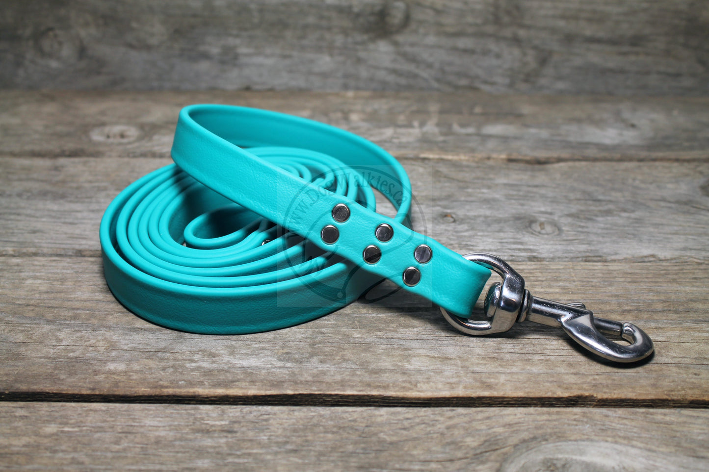 Teal Biothane Large Dog Leash