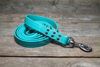Teal Biothane Large Dog Leash