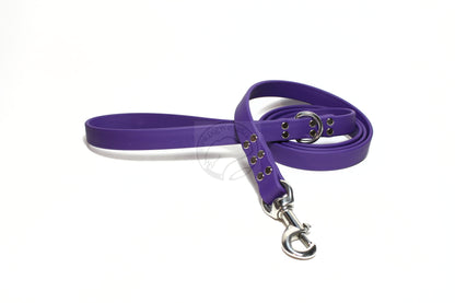 Royal Purple Biothane Large Dog Leash