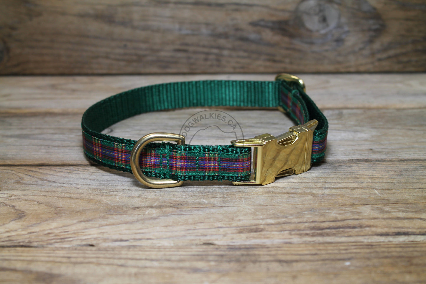 Cameron of Lochiel clan tartan - dog collar