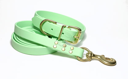 Heavy Biothane Leash 3/4" (20mm) wide - waterproof leash - all colours