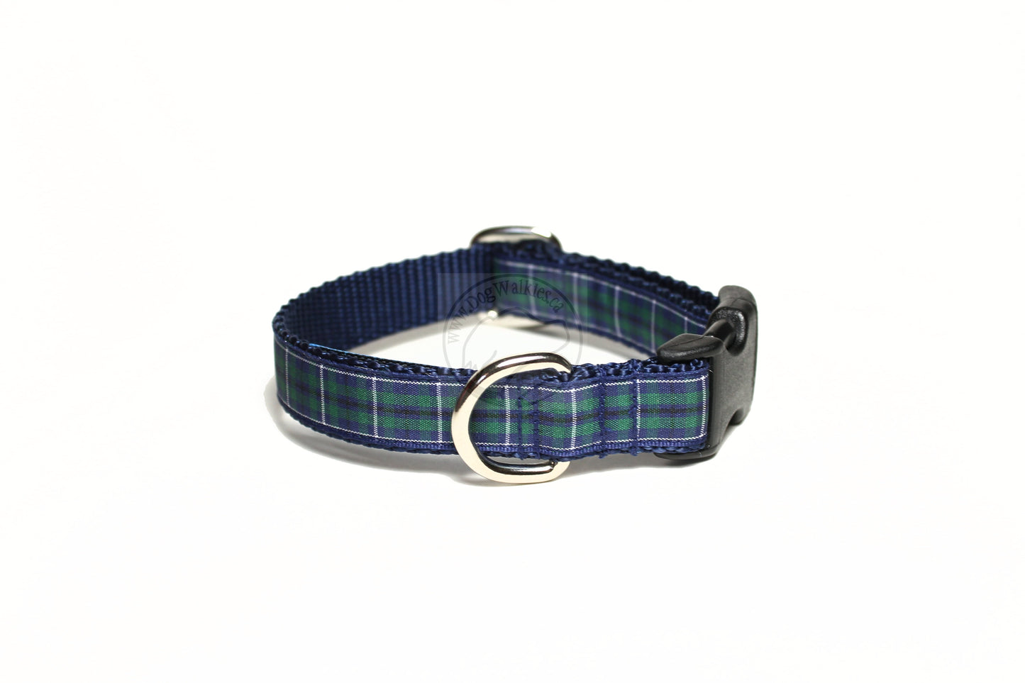 Douglas Modern Clan tartan - dog collar