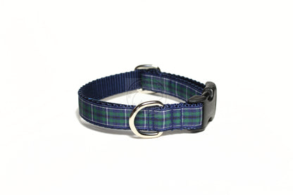Douglas Modern Clan tartan - dog collar