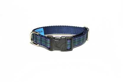 Douglas Modern Clan tartan - dog collar