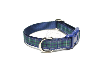 Douglas Modern Clan tartan - dog collar