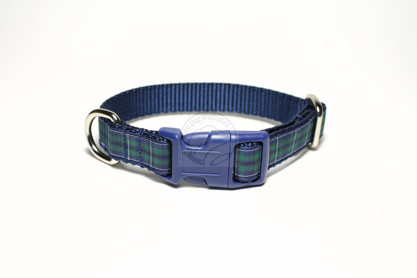 Douglas Modern Clan tartan - dog collar