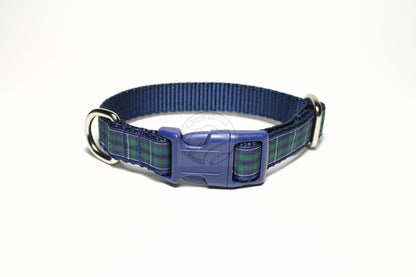 Douglas Modern Clan tartan - dog collar