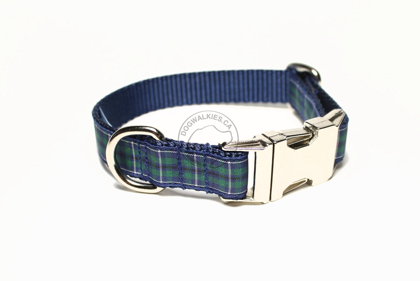 Douglas Modern Clan tartan - dog collar