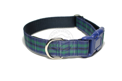 Douglas Modern Clan tartan - dog collar