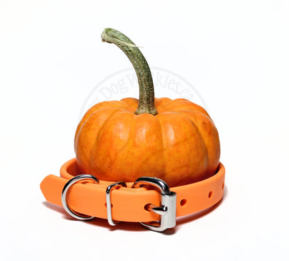 Bright Pumpkim Orange Biothane Dog Collar - 5/8"(16mm) wide