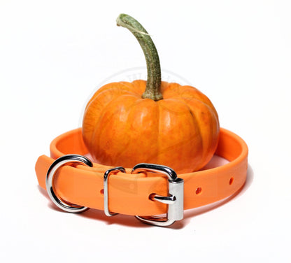 Bright Pumpkin Orange Biothane Dog Collar - 3/4" (20mm) wide