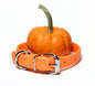Medium Dog Collar in Genuine Biothane - 20mm (3/4") width - 40 colours