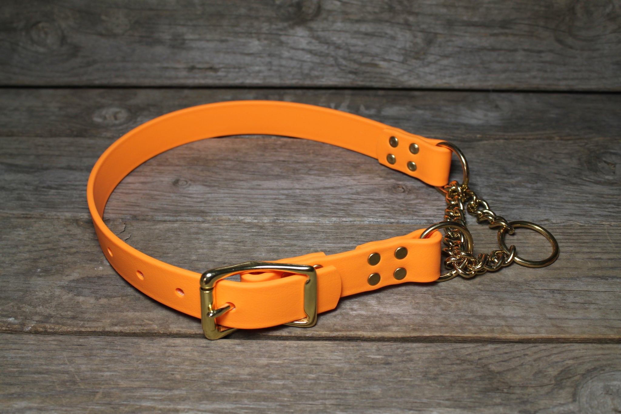 Biothane Chain Martingale Dog Collar - 1" (25mm) wide - Solid Brass or Stainless Steel Hardware