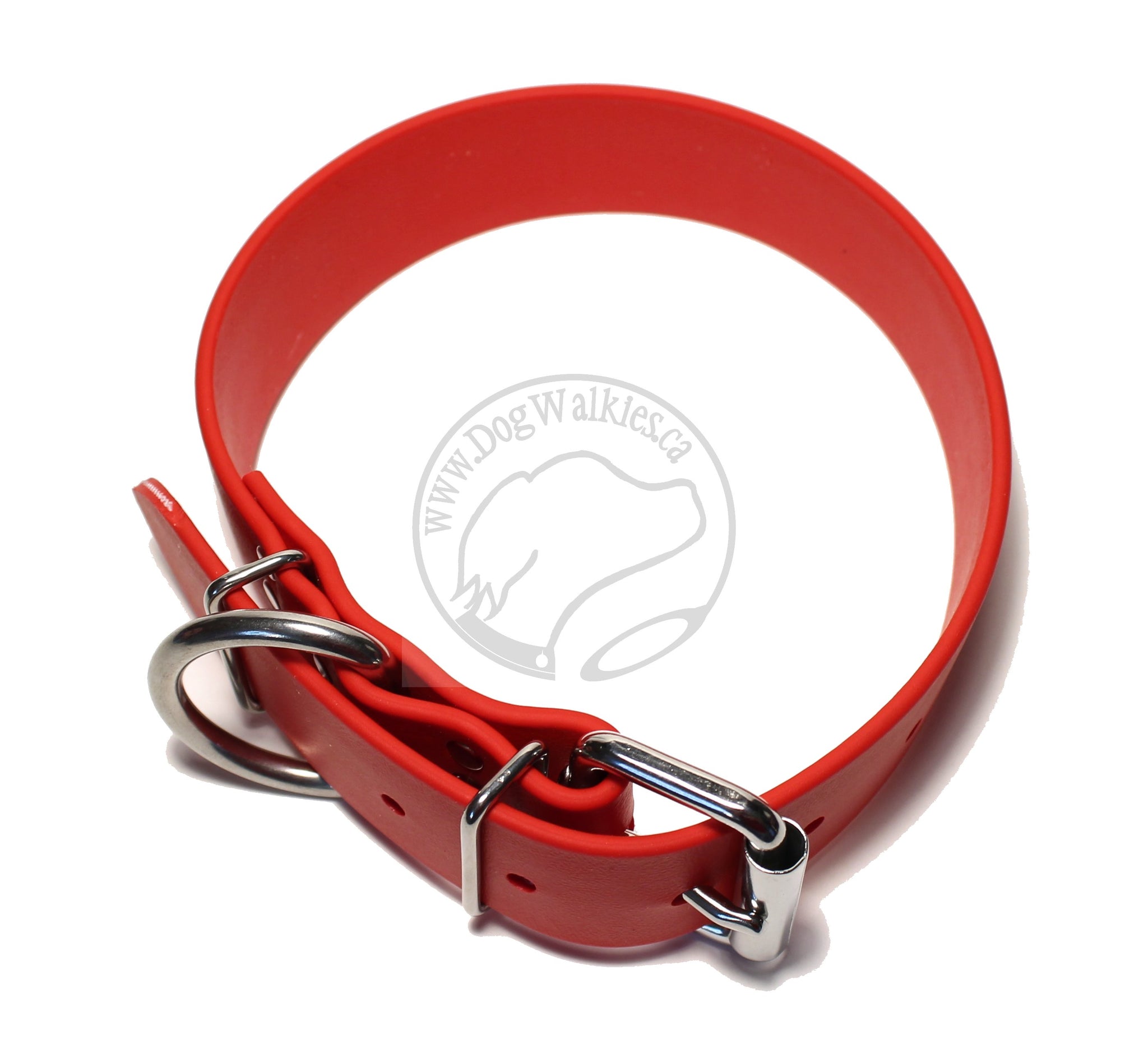 Poppy Red Biothane Dog Collar - Extra Wide - 1.5 inch (38mm) wide – Dog  Walkies.ca