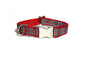 Stewart Royal tartan - dog collar