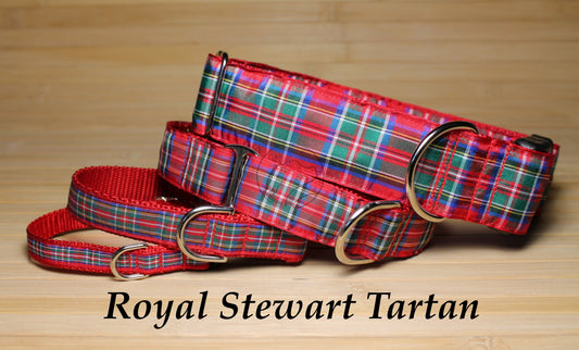Stewart Royal tartan - dog collar