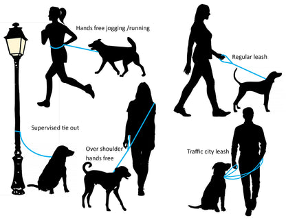 Convertible Waterproof Leash in Genuine Biothane - 16mm (5/8") width - 39 colours
