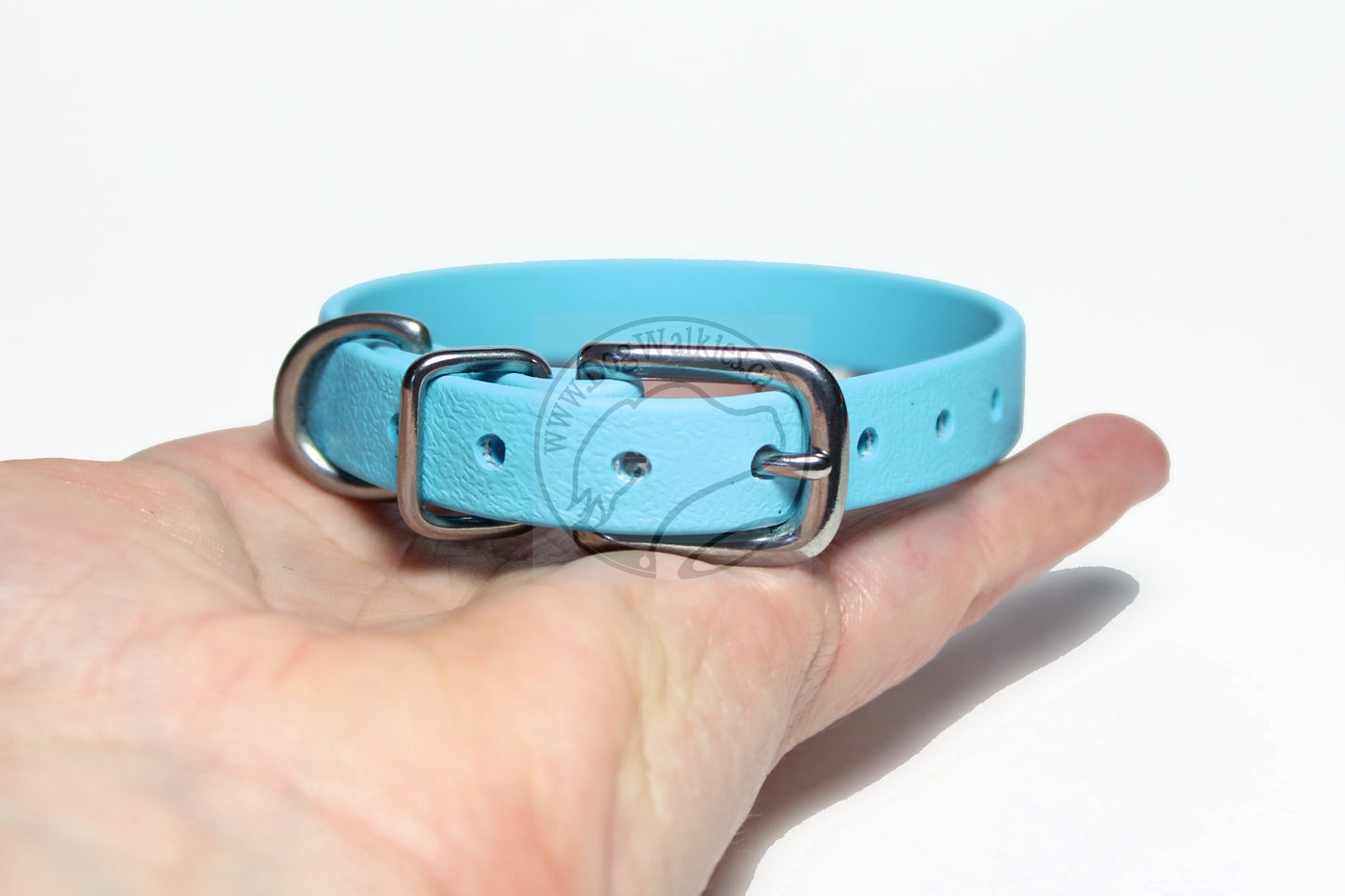 Frozen Blue Biothane Small Dog Collar - 1/2" (12mm) wide