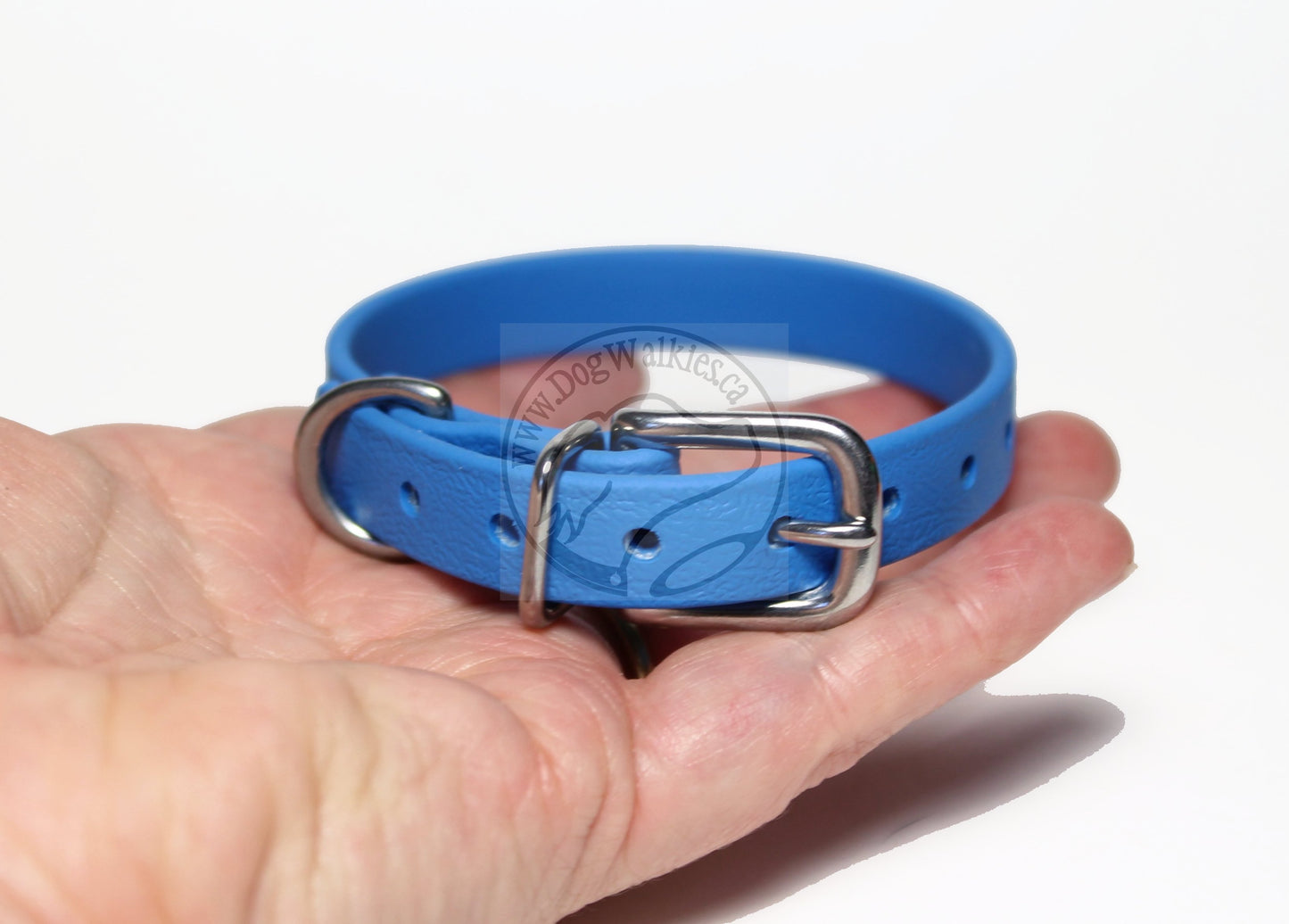 Caribbean Blue Biothane Small Dog Collar - 1/2" (12mm) wide
