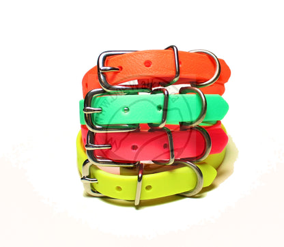 Neon Blaze Orange Biothane Small Dog Collar - 1/2" (12mm) wide