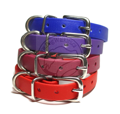 Royal Purple Biothane Small Dog Collar - 1/2" (12mm) wide
