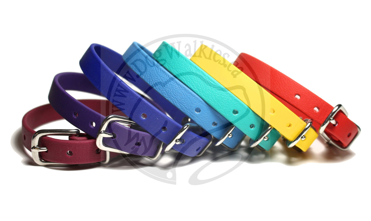 Caribbean Blue Biothane Small Dog Collar - 1/2" (12mm) wide