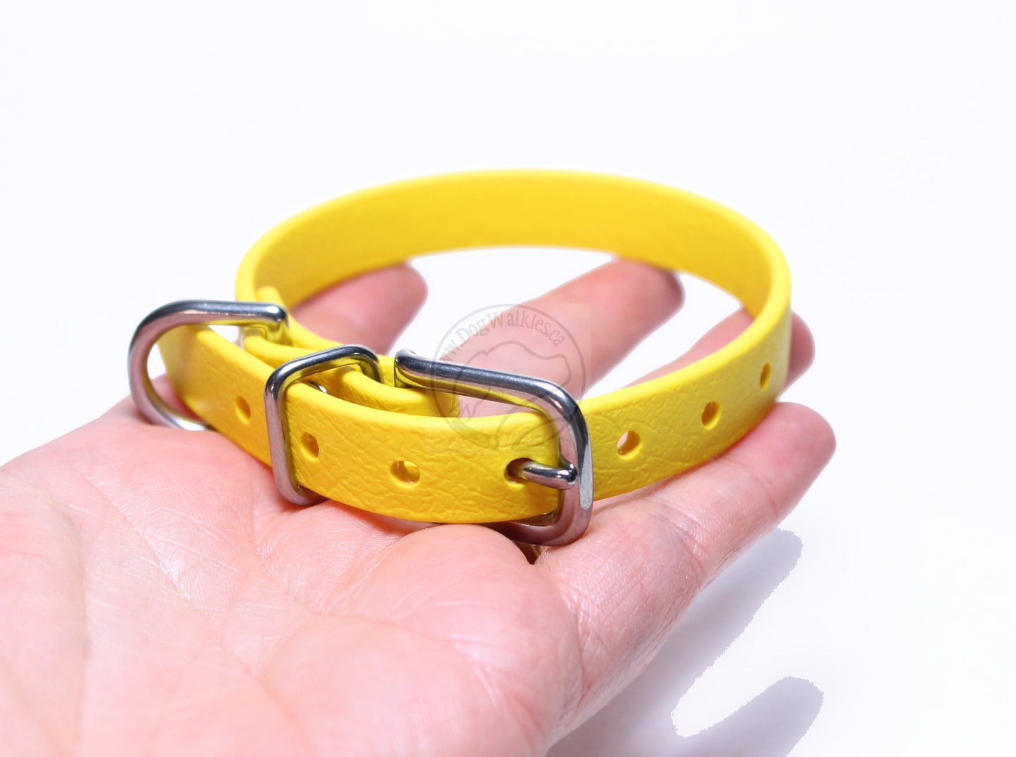 Sunflower Yellow Biothane Small Dog Collar - 1/2" (12mm) wide