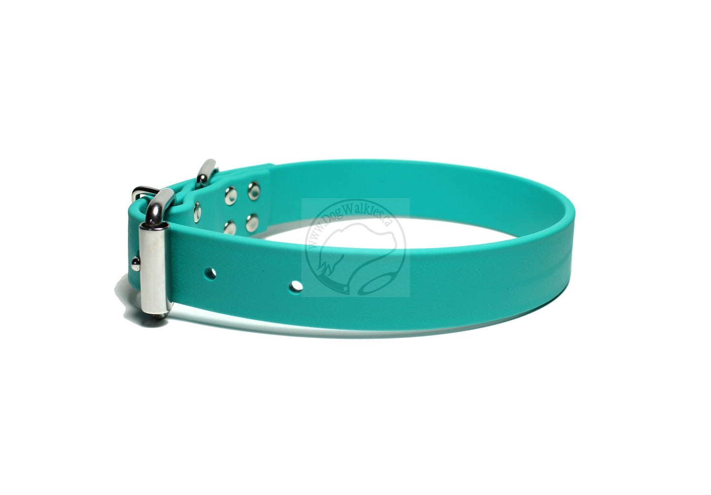 Teal Biothane Dog Collar - 1 inch (25mm) wide