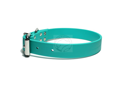 Teal Biothane Dog Collar - 1 inch (25mm) wide