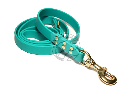 Teal Biothane Large Dog Leash