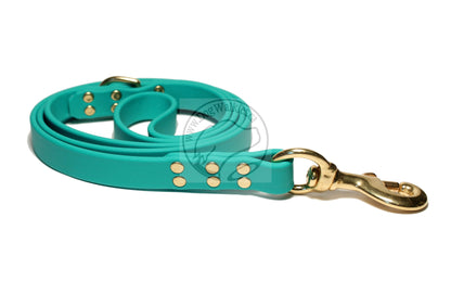 Teal Biothane Large Dog Leash