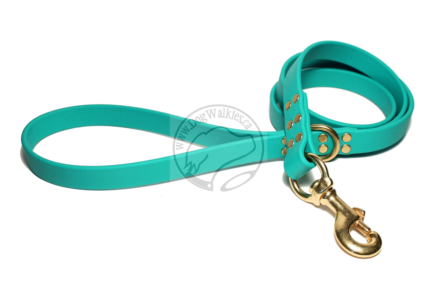 Teal Biothane Large Dog Leash