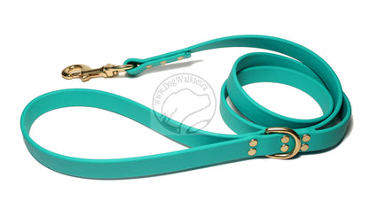 Teal Biothane Large Dog Leash