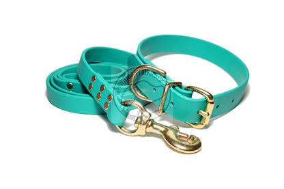 Teal Biothane Large Dog Leash
